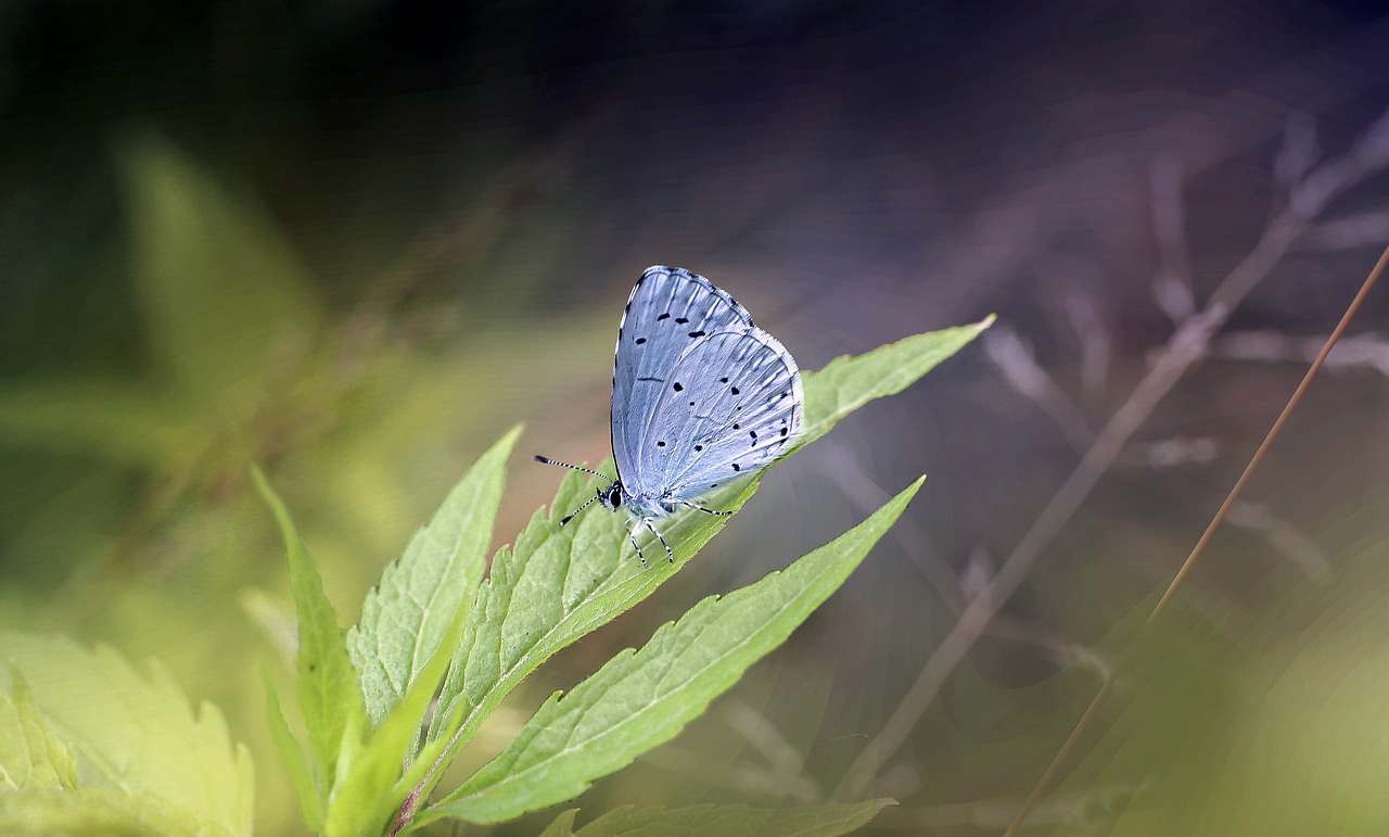 Mini Aspirador Veicular TurboClean